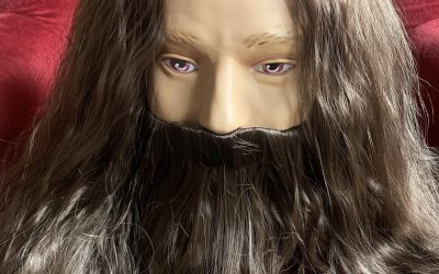 Hagrid wig & beard set