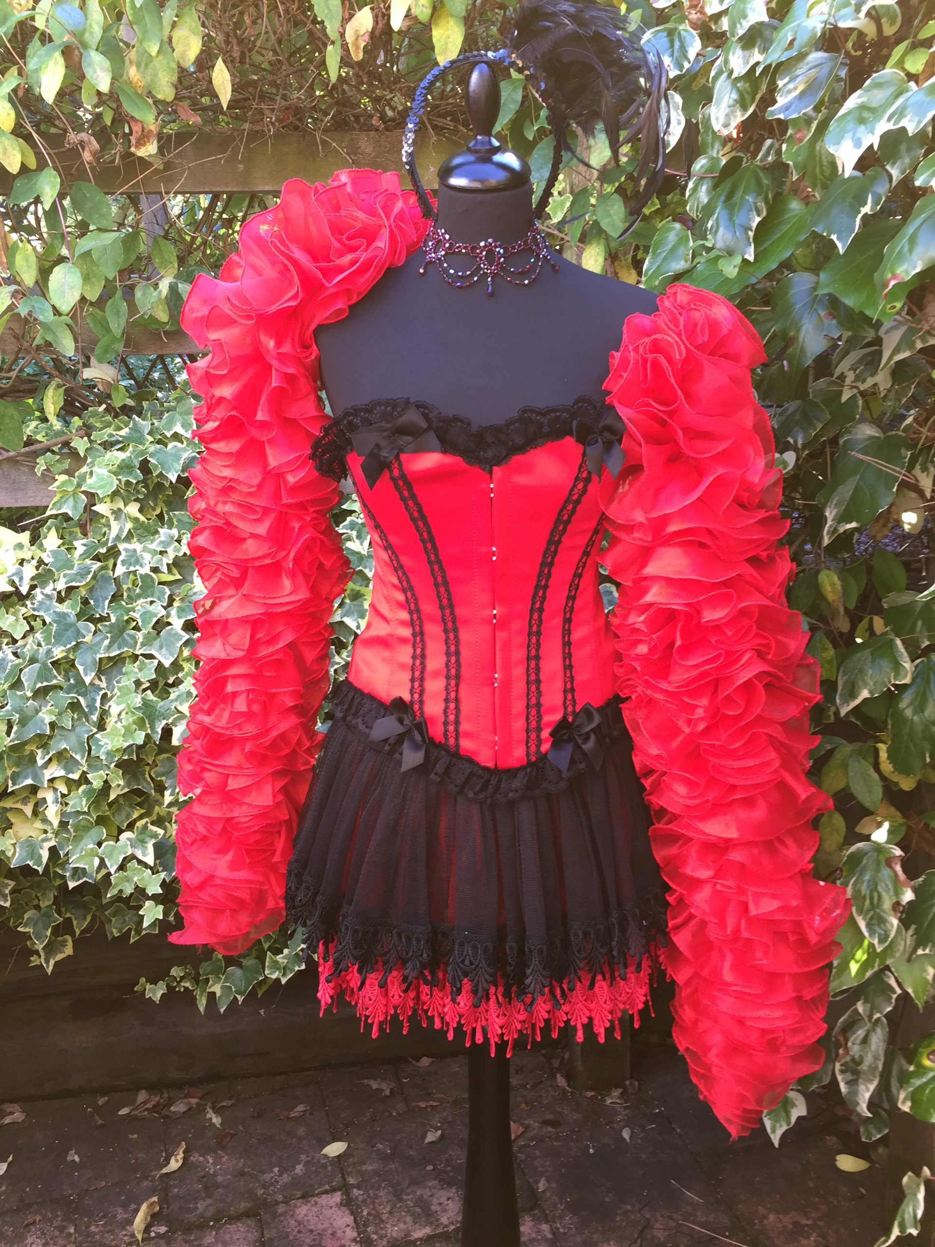 Moulin rouge fancy dress plus size best sale