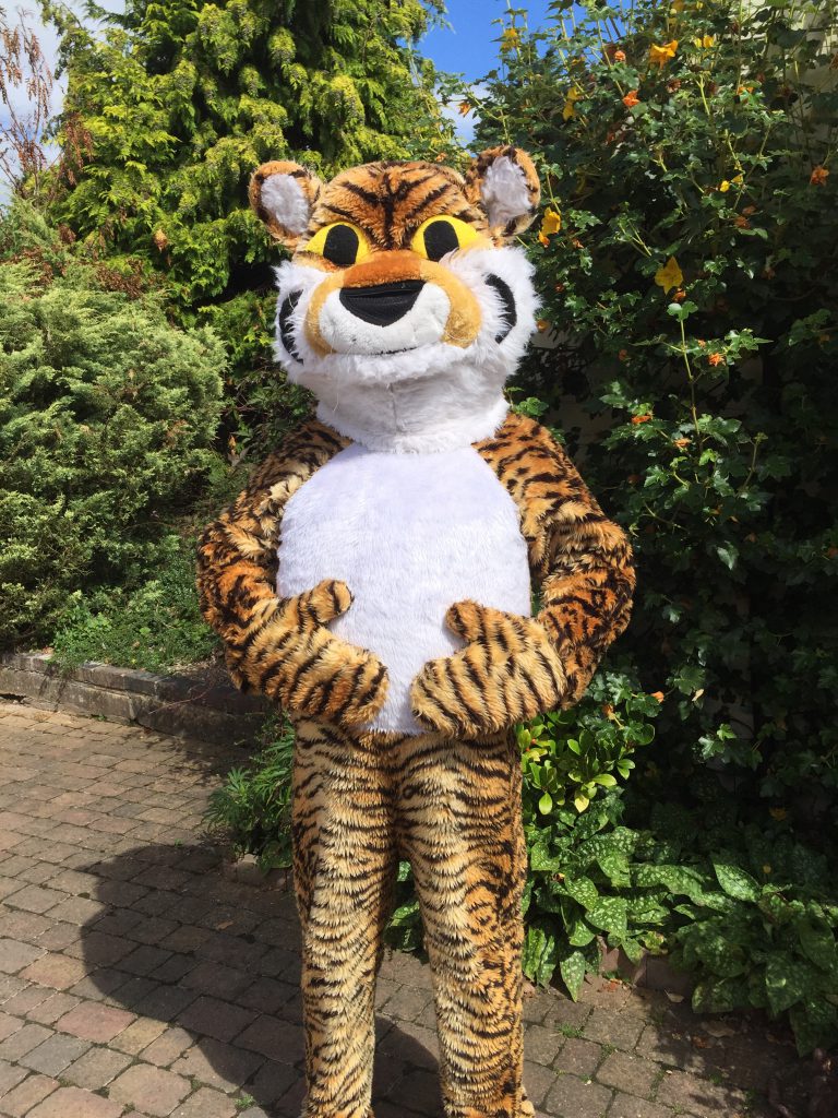 Adult Tiger Mascot Costume For Hire. Animal Mascot Costumes