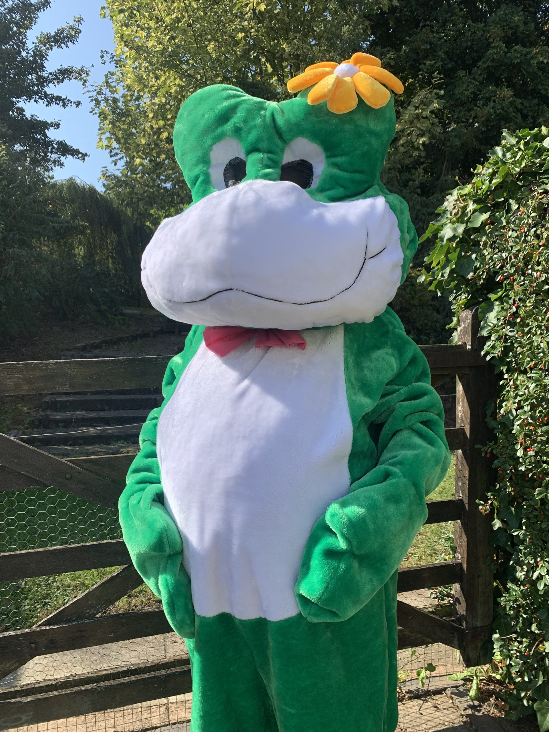Masquerade Frog Mascot Costume For Hire. Animal Mascot Costumes For Hire