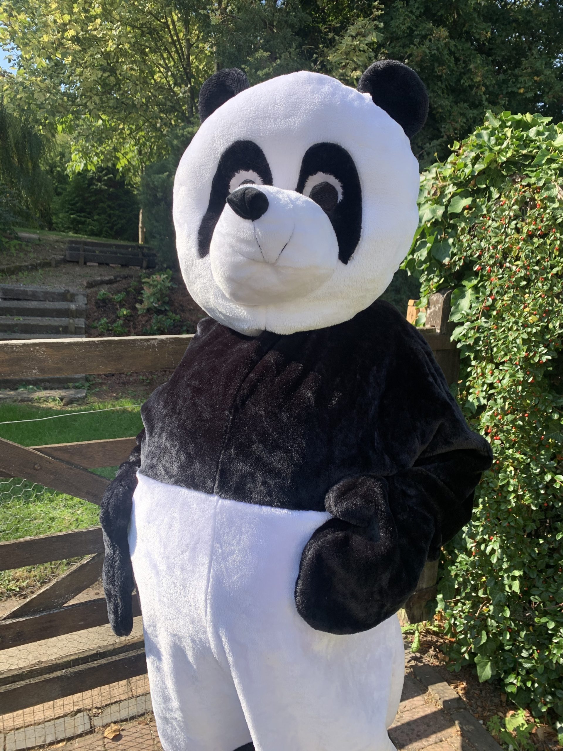 Masquerade Panda Mascot Costume To Hire. Mascot Costumes. Animal Fancy Dress