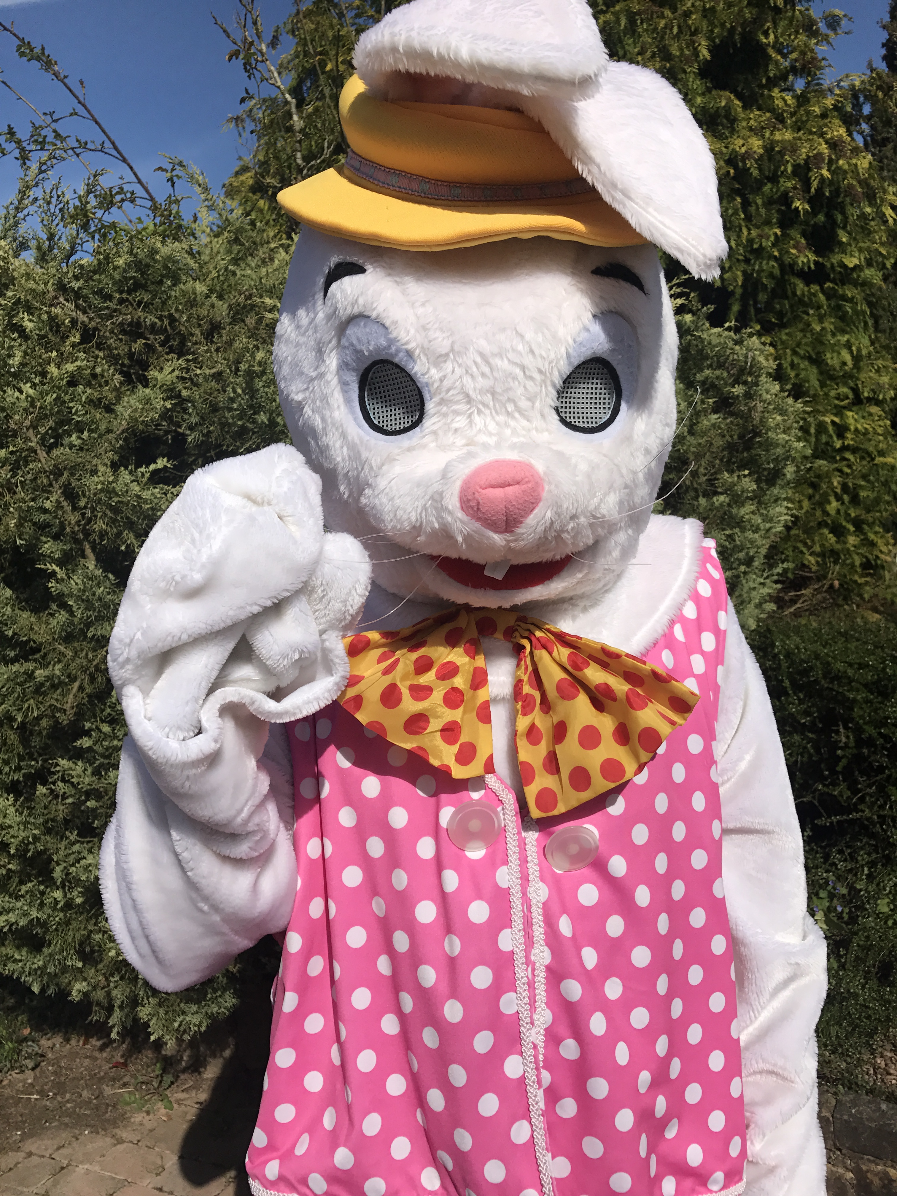 Easter Bunny Mascot Costume With Waistcoat For Hire