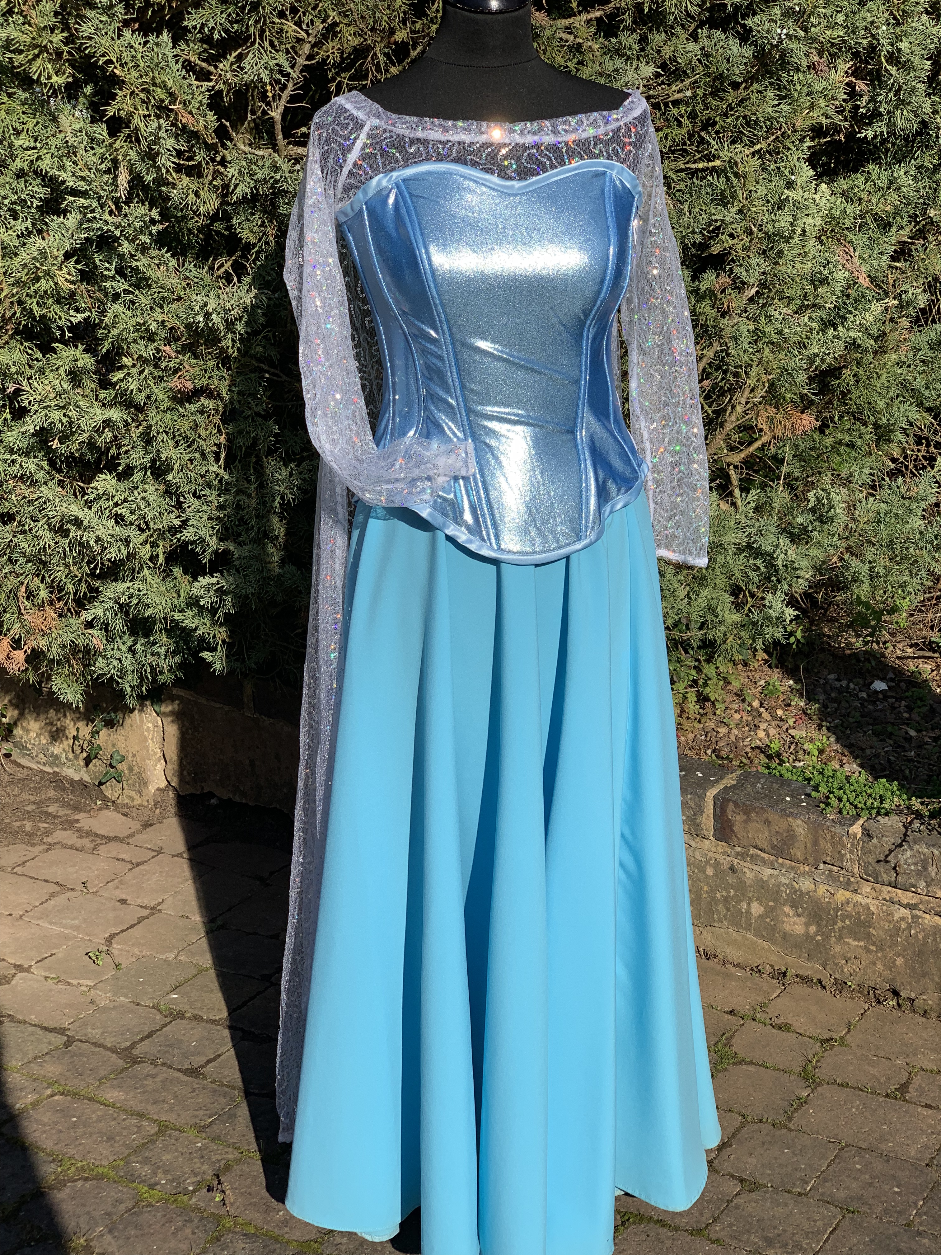 Ladies Blue Ice Princess Costume For Hire Disney Theme Fancy Dress