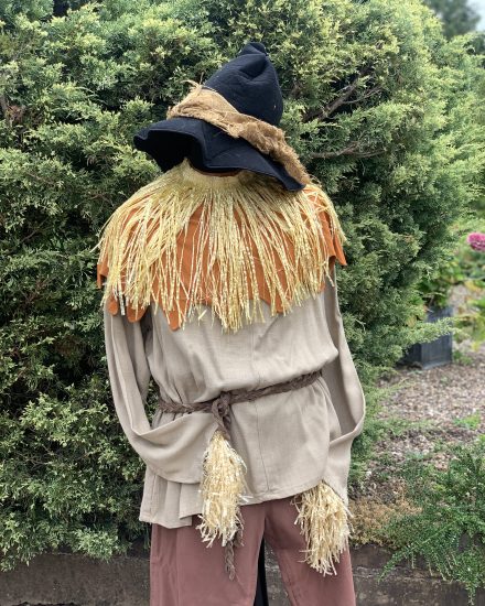 Masquerade Wizard Of Oz Scarecrow Fancy Dress Costume For Hire